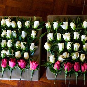 fwthumbRose buttonholes.jpg